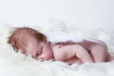 Güzel yeni doğmuş bebek melek kanatlarıyla uyuyor, çocuk izole edilmiş beyaz arka plan