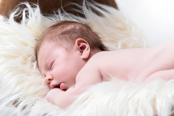 美しい新生児の女の子の睡眠 子供の隔離された白い背景 — ストック写真