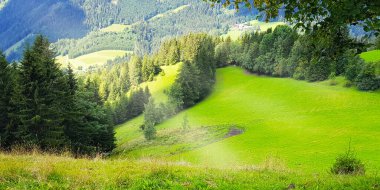 Dağların arasındaki tepeler ve yeşil ormanlar manzara, güzel doğa arka planı