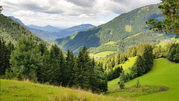 Heuvels Groene Bossen Midden Het Berglandschap Prachtige Natuur Achtergrond — Stockfoto