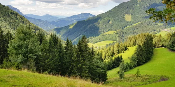 Heuvels Groene Bossen Midden Het Berglandschap Prachtige Natuur Achtergrond — Stockfoto