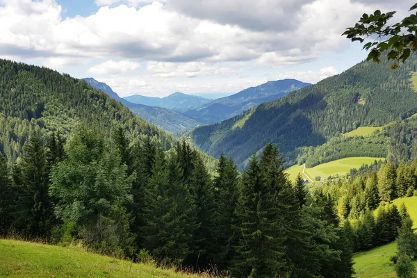 Heuvels Groene Bossen Midden Het Berglandschap Prachtige Natuur Achtergrond — Stockfoto