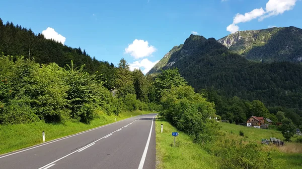 Weg Door Bergen Prachtige Natuur Achtergrond Groene Bomen — Stockfoto