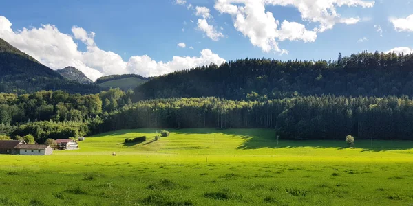 Heuvels Groene Bossen Midden Het Berglandschap Prachtige Natuur Achtergrond — Stockfoto