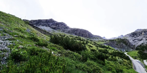 Wolken Der Berglandschaft Schöne Naturkulisse Grüne Bäume — Stockfoto