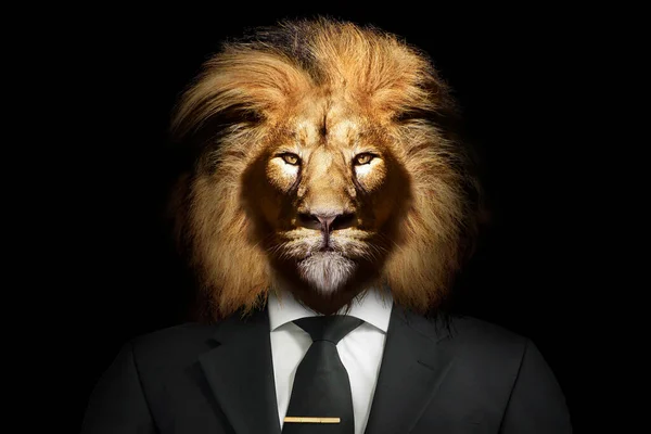 Aslan görünümlü, takım elbiseli, kravatlı bir adam, aslan yüzlü, yalıtılmış siyah beyaz.