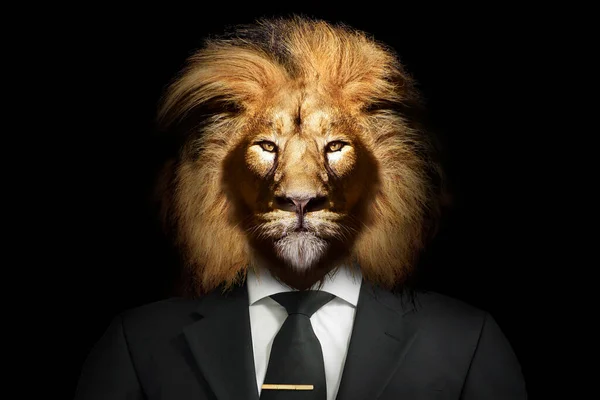 スーツとネクタイのライオンの形をした男ライオンの人動物の顔は黒の隔離された白い ロイヤリティフリーのストック画像