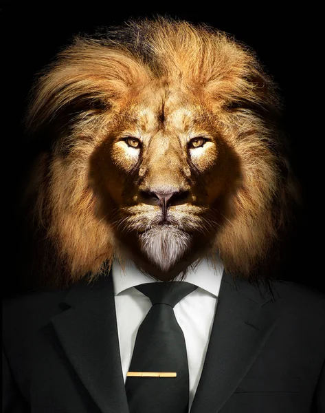 スーツとネクタイのライオンの形をした男ライオンの人動物の顔は黒の隔離された白い ストック写真