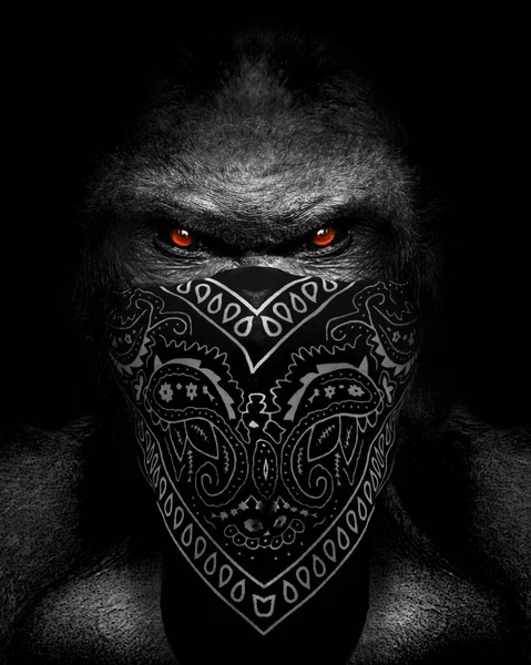 Gorilla Boss Rap Kopftuch Säugetiergesicht Schwarz Weiß — Stockfoto