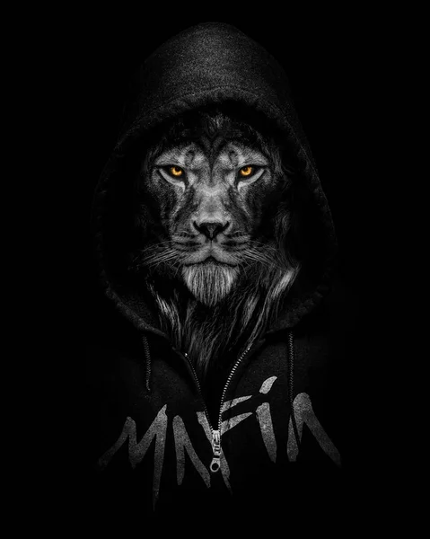 Lion Wearing Hooded Sweatshirt Written Mafia Gangster Style Black White Stock Photo