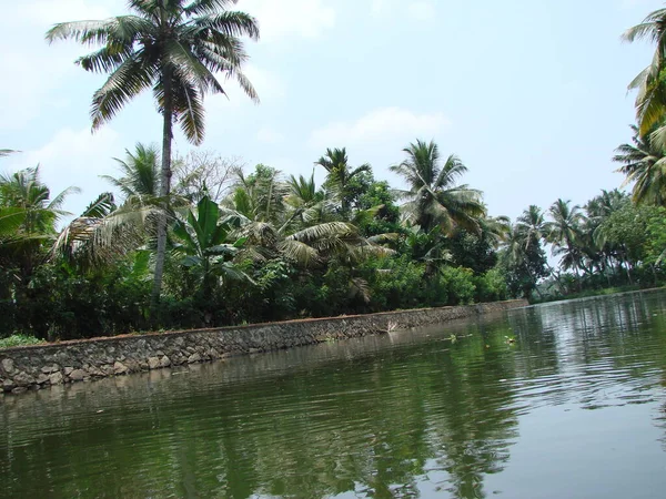 Blue Sky Lake Palm Trees India — Stock Photo, Image