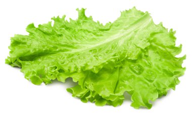 Salata yaprağı. Beyaz arka planda bir yeşil marul. kırpma yolu