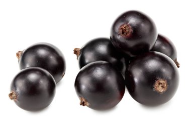 Beyaz arka planda siyah kuşüzümü izole edilmiş. Makro. kırpma yolu