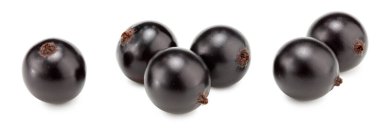 Beyaz arka planda siyah kuşüzümü izole edilmiş. Makro. kırpma yolu