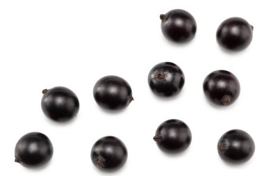 Beyaz arka planda siyah kuşüzümü izole edilmiş. Makro. Kesme yolu. en üstteki görünüm