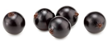 Beyaz arka planda siyah kuşüzümü izole edilmiş. Makro. kırpma yolu