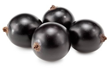 Beyaz arka planda siyah kuşüzümü izole edilmiş. Makro. kırpma yolu