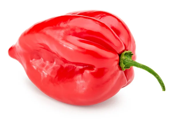 Habanero Τσίλι Κόκκινη Καυτερή Πιπεριά Απομονώνονται Λευκό Φόντο Διαδρομή Αποκοπής — Φωτογραφία Αρχείου