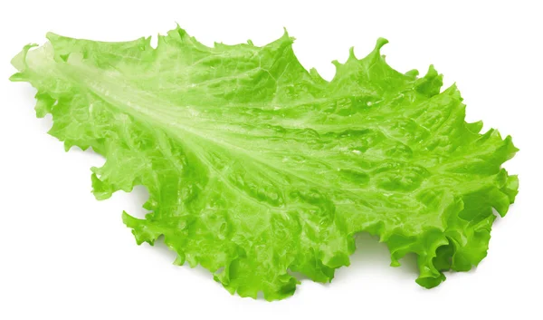 Salad Leaf One Green Lettuce Isolated White Background Clipping Path — Stock Photo, Image