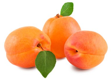 Beyaz arka planda yeşil yapraklı kayısı meyveleri. kırpma yolu