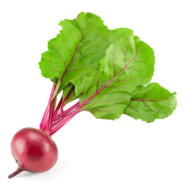 Beetroot Green Leaves Isolated White Background Clipping Path — Photo