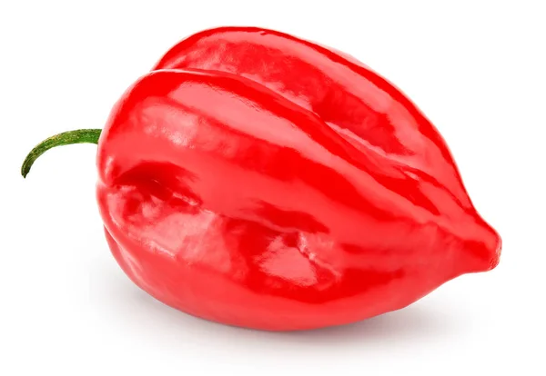 Rode Habanero Chili Hete Paprika Geïsoleerd Witte Achtergrond Knippad — Stockfoto