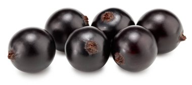 Beyaz arka planda siyah kuşüzümü izole edilmiş. Makro. kırpma yolu