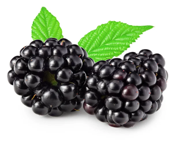 Blackberries Leaves Isolated White Background Clipping Path — 图库照片