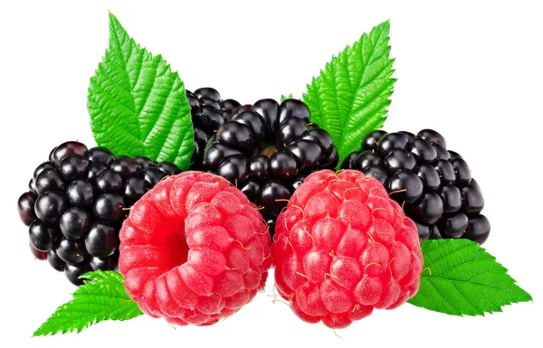 Blackberries Leaves Raspberries Isolated White Background Clipping Path —  Fotos de Stock