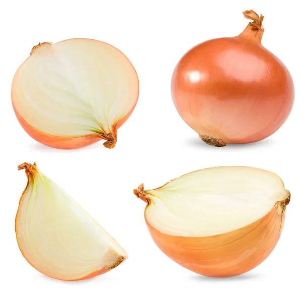 Onion Isolated White Background Full Depth Field Clipping Path — Stock Photo, Image