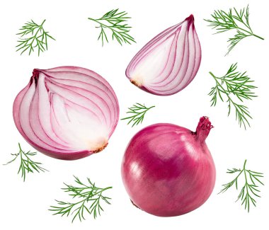 Red onion with dill leaves isolated on white background. full depth of field. clipping path