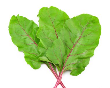 Pancar yaprakları beyaz arka planda izole. kırpma yolu