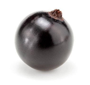 Beyaz arka planda siyah kuşüzümü izole edilmiş. Makro. kırpma yolu