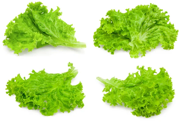 Salad Leaves Isolated White Background Lettuce Clipping Path —  Fotos de Stock