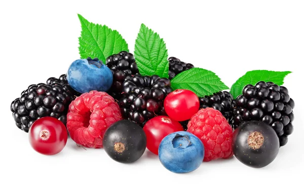 Mix Blueberry Blackberry Cranberry Raspberry Leaves Isolated White Background Clipping — Stock Photo, Image