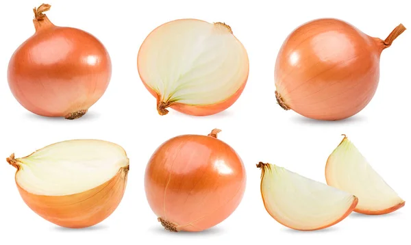 Sliced Onion Isolated White Background Full Depth Field Clipping Path — Stock Photo, Image