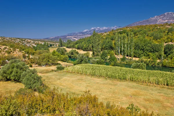 Groene landschap van de vallei van de rivier van de zrmanja — Stockfoto