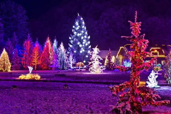 Christmas fantasy - park & forest in xmas lights Stock Photo