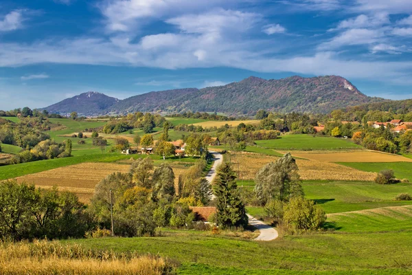 Vackra gröna landskapet i trafikknutpunkt regionen — Stockfoto