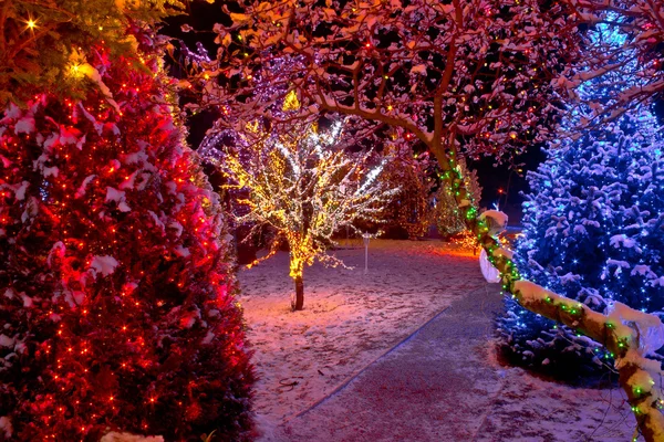 Coloridas luces de Navidad en los árboles —  Fotos de Stock