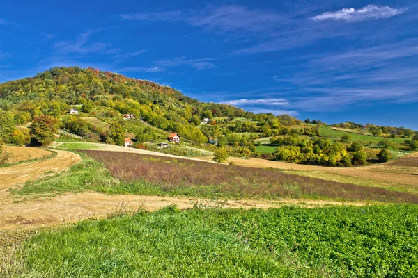 Hermosa colina verde con cabañas de viñedo — Foto de Stock