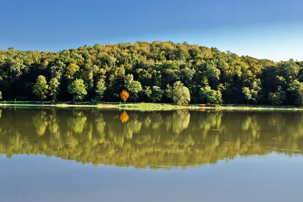 Idyllic autumn reflections on lake surface