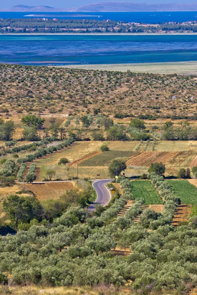 Oliveto e lago di Vrana — Foto Stock