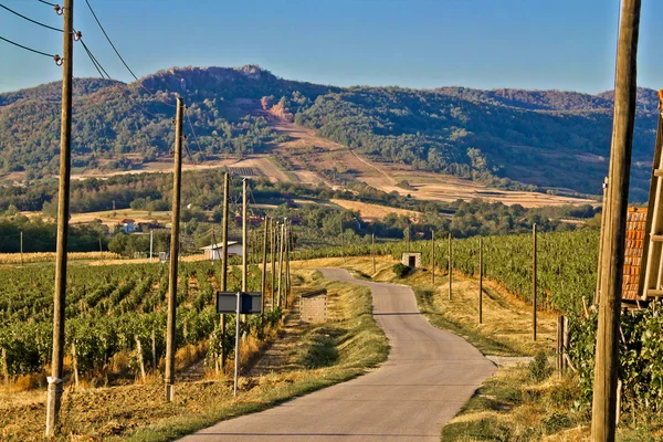 Горные виноградники региона живописная дорога — стоковое фото