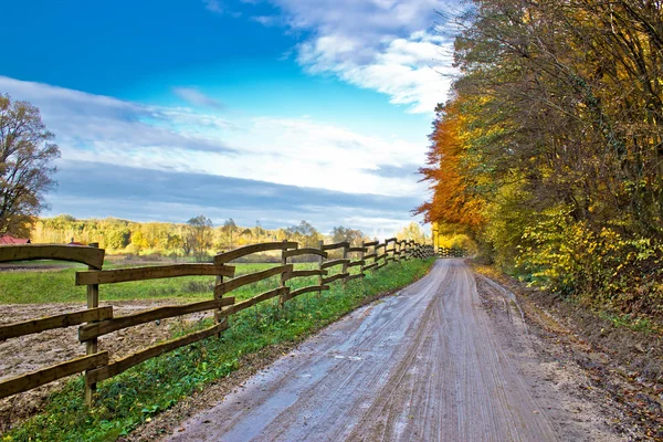 Autumn colorful mountain dirt road — Stock Photo, Image