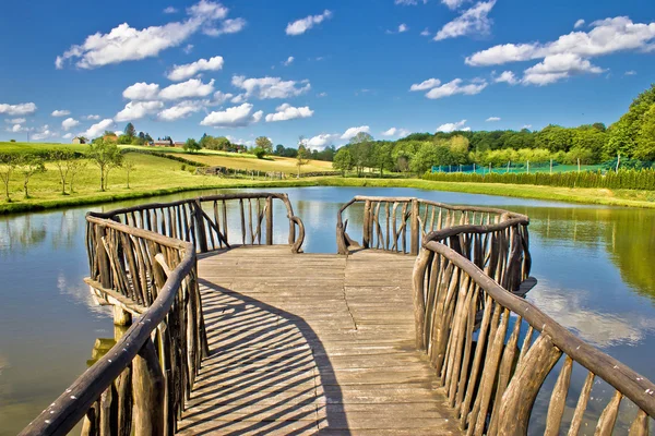 Lake in green nature wooden boardwalk — Stock Photo, Image