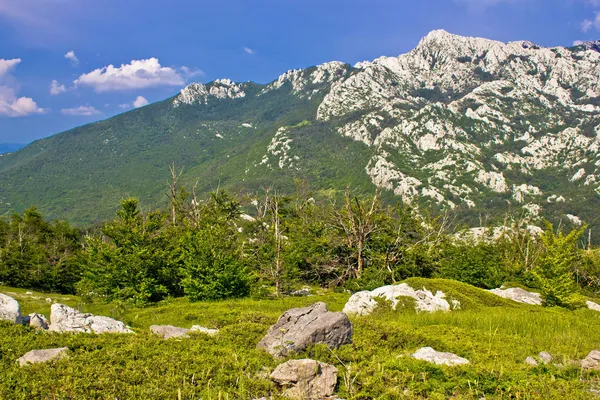 Crnopac pico da montanha Velebit — Fotografia de Stock