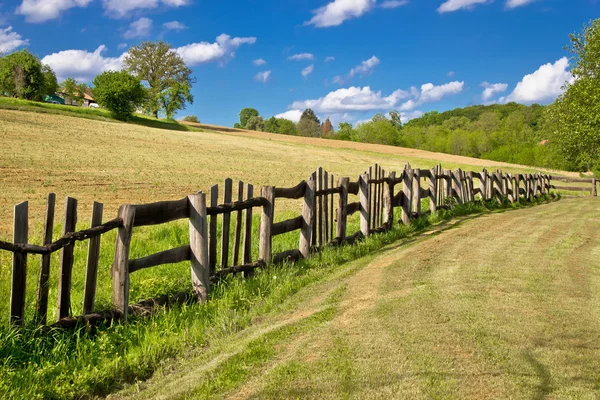 Yeşil manzara içinde ahşap çit — Stok fotoğraf