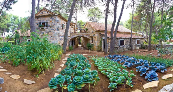 Sten byn trädgård med grönsaker — Stockfoto