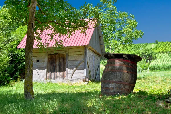 Wooden cottage and barrel in vineyard — Stock Photo, Image